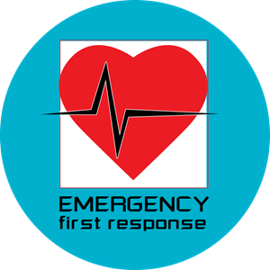 efr2.png