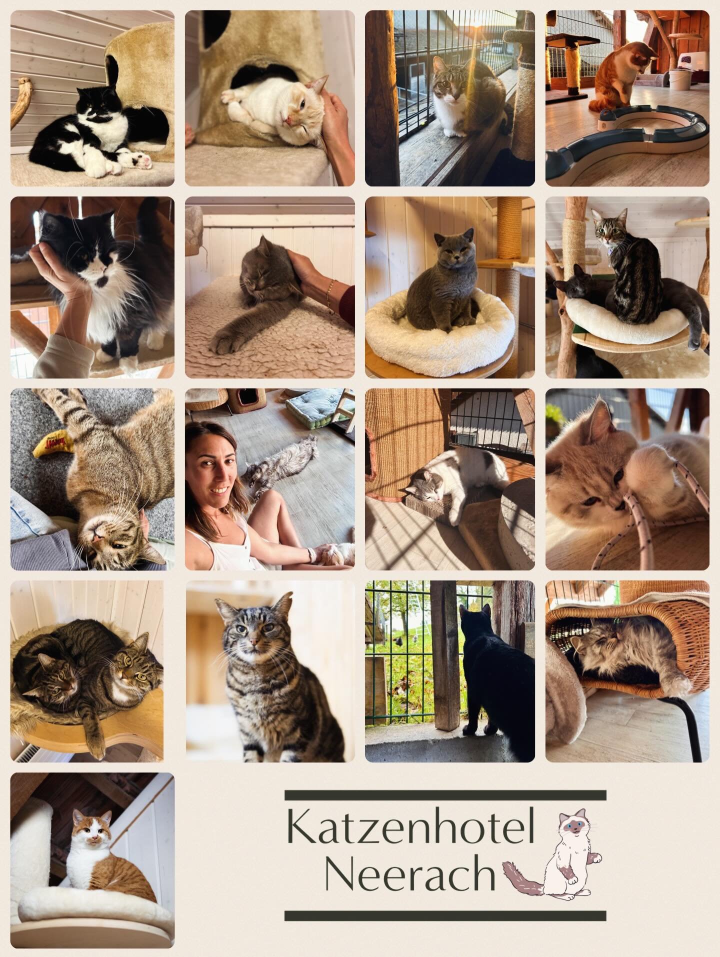 🎇 Happy New Year 🥂🍾

Das Katzenhotel Neerach w&uuml;nscht ein tolles 2026 und freut sich auch dieses Jahr auf Euren Besuch😻🫶🏼

#cat #happynewyear #thankyou #cathotel #fellnase