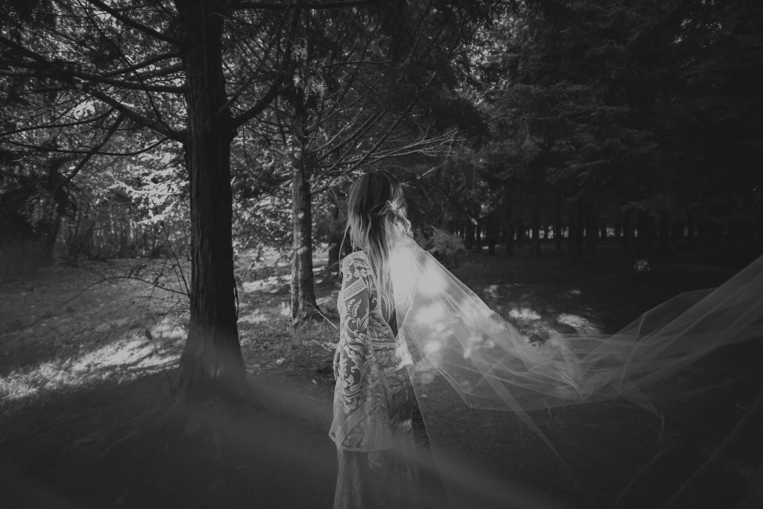 Black and white photo of a woman in a lace dress with a veil, standing in a wooded forest.