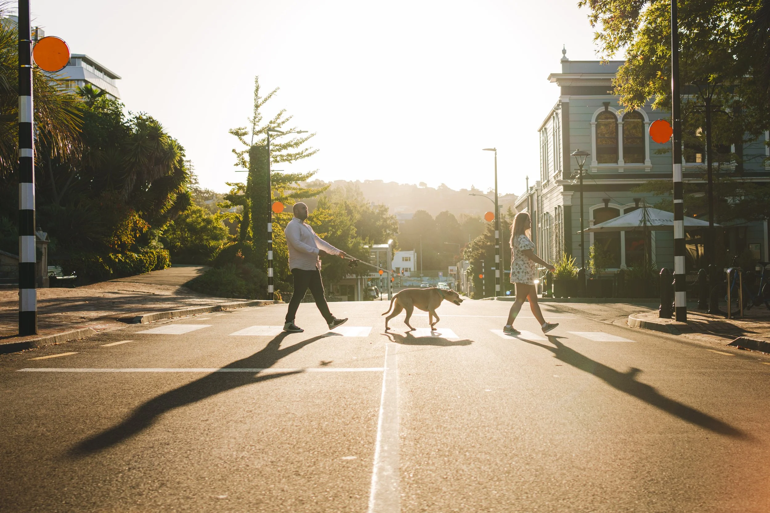 A man and a woman cross a city street at sunset, walking with a dog on a leash, with the sun shining brightly behind them and casting long shadows on the road.