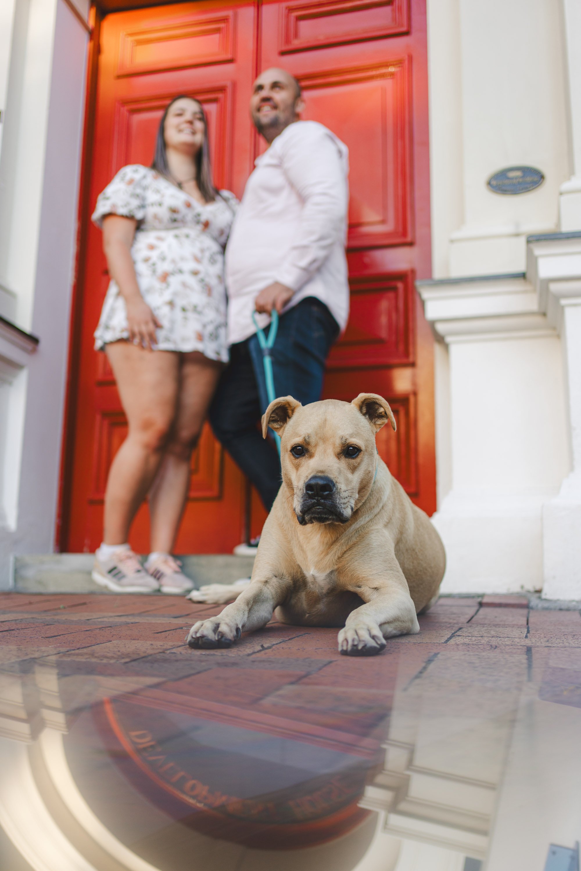 A tan dog with a black nose lying down on the brick sidewalk in front of a red front door, with a joyful couple standing behind it.