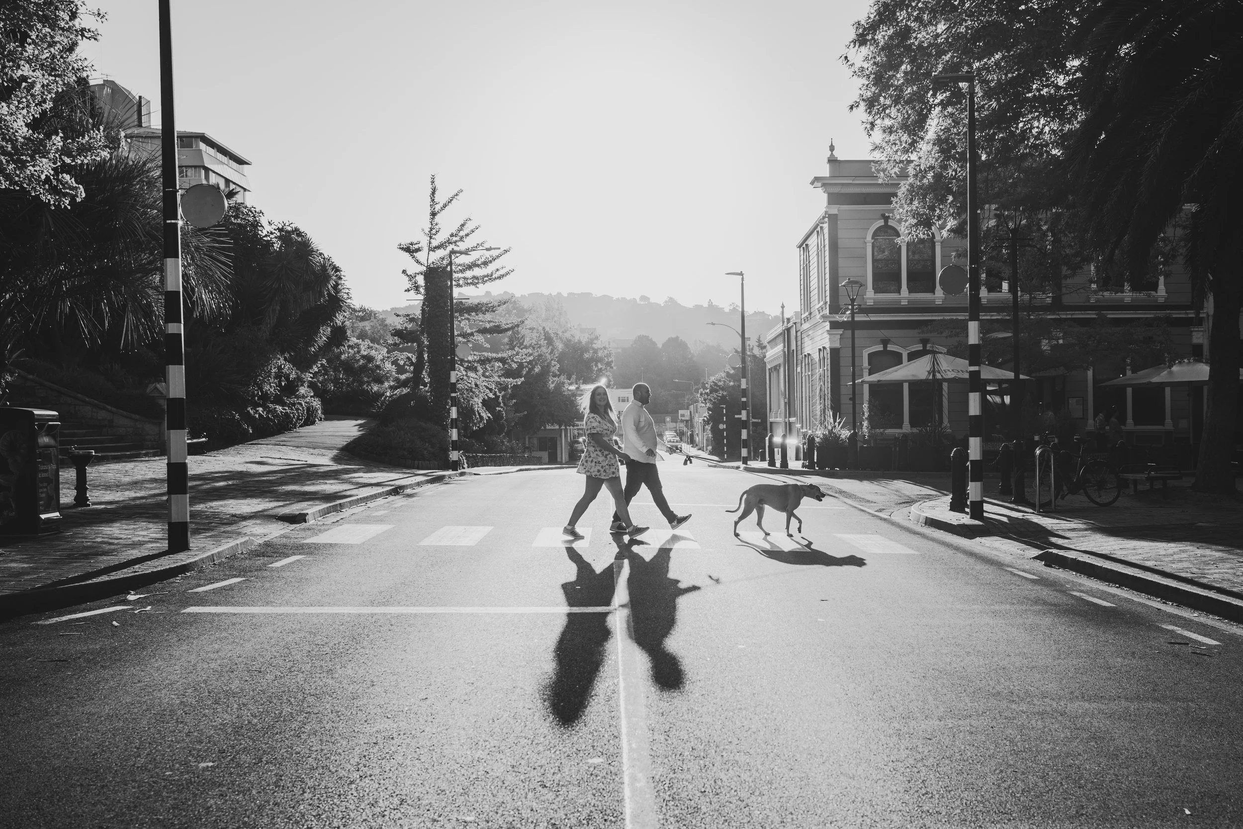 A black and white photo of a couple walking a dog across a crosswalk in an urban neighborhood with buildings, trees, and a hill in the background.