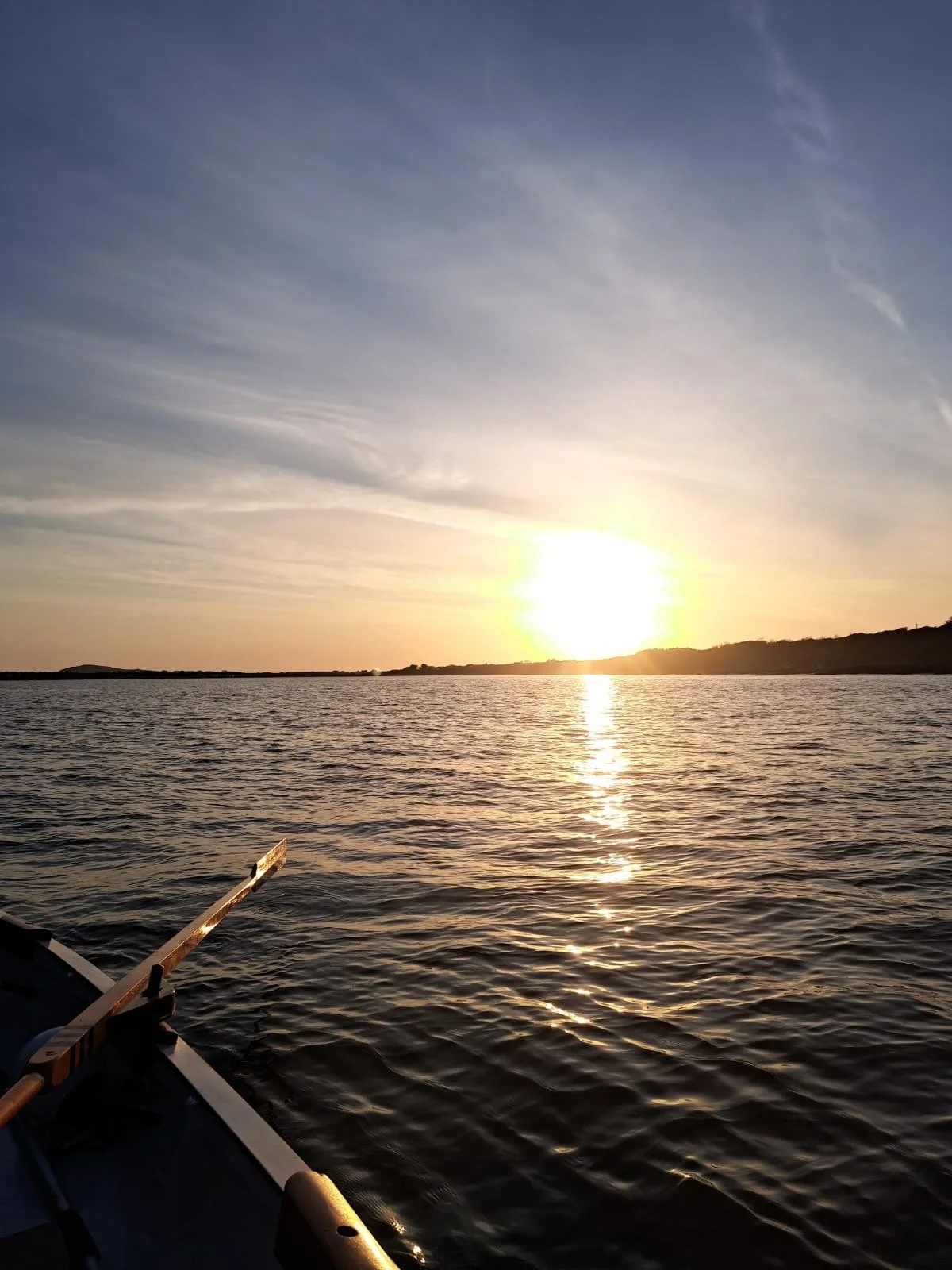 26d793e9-928a-4901-b07c-3eb236f504b1.JPG