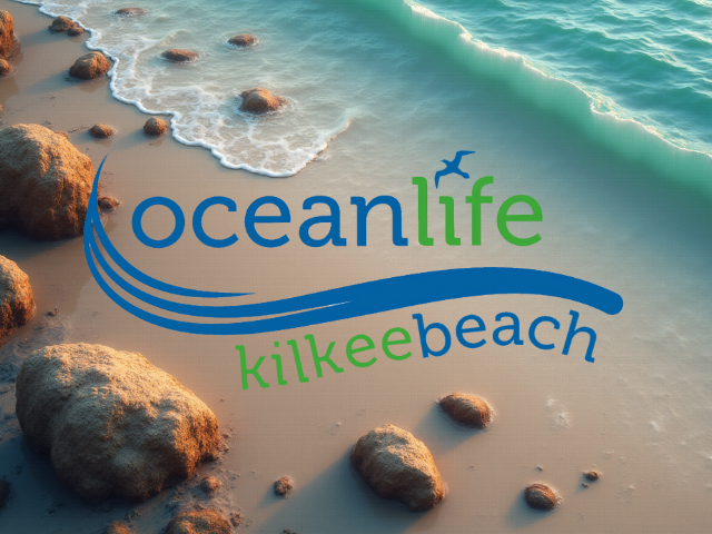 OceanLife Dive Centre, Kilkee