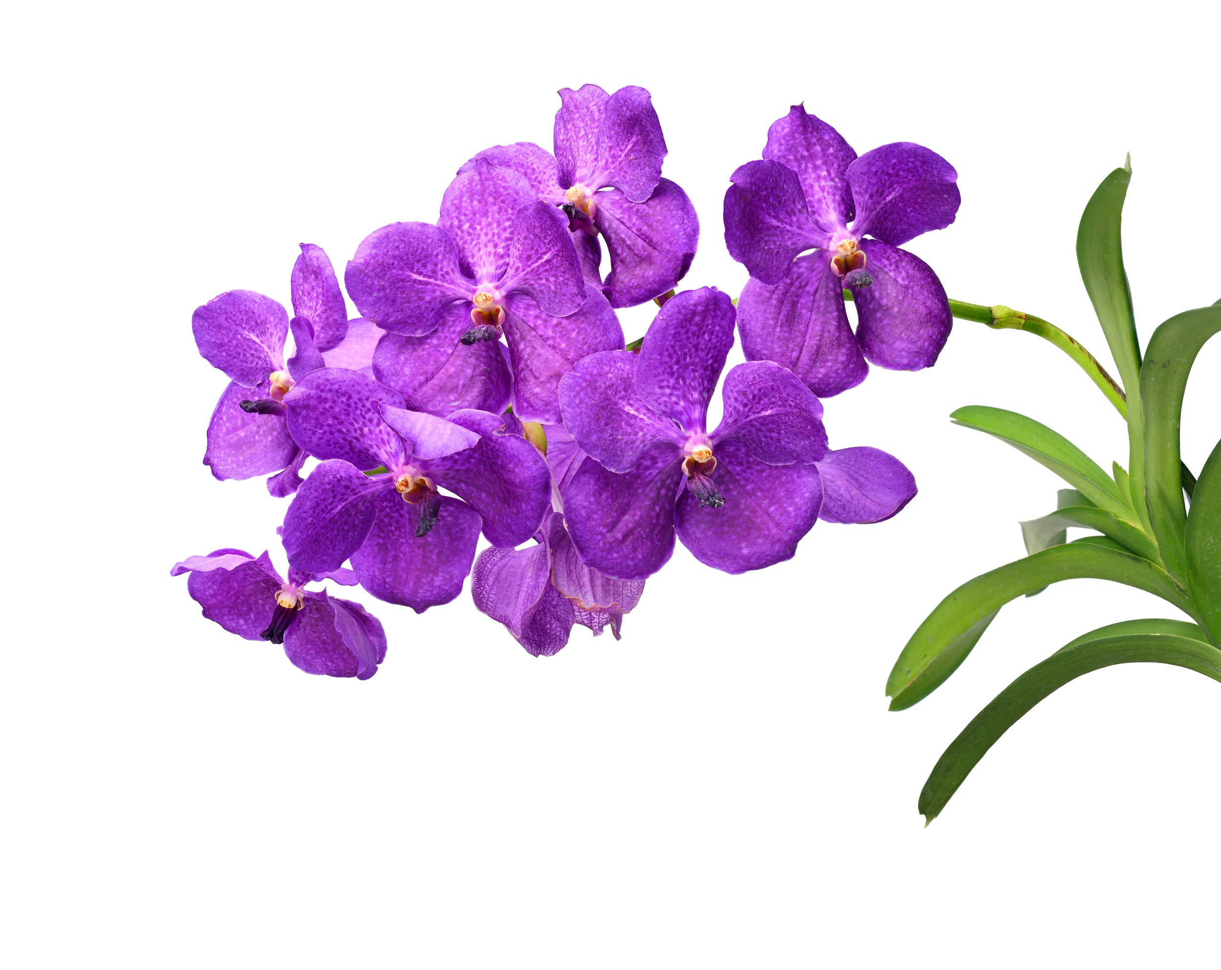 AdobeStock_472133045.jpeg