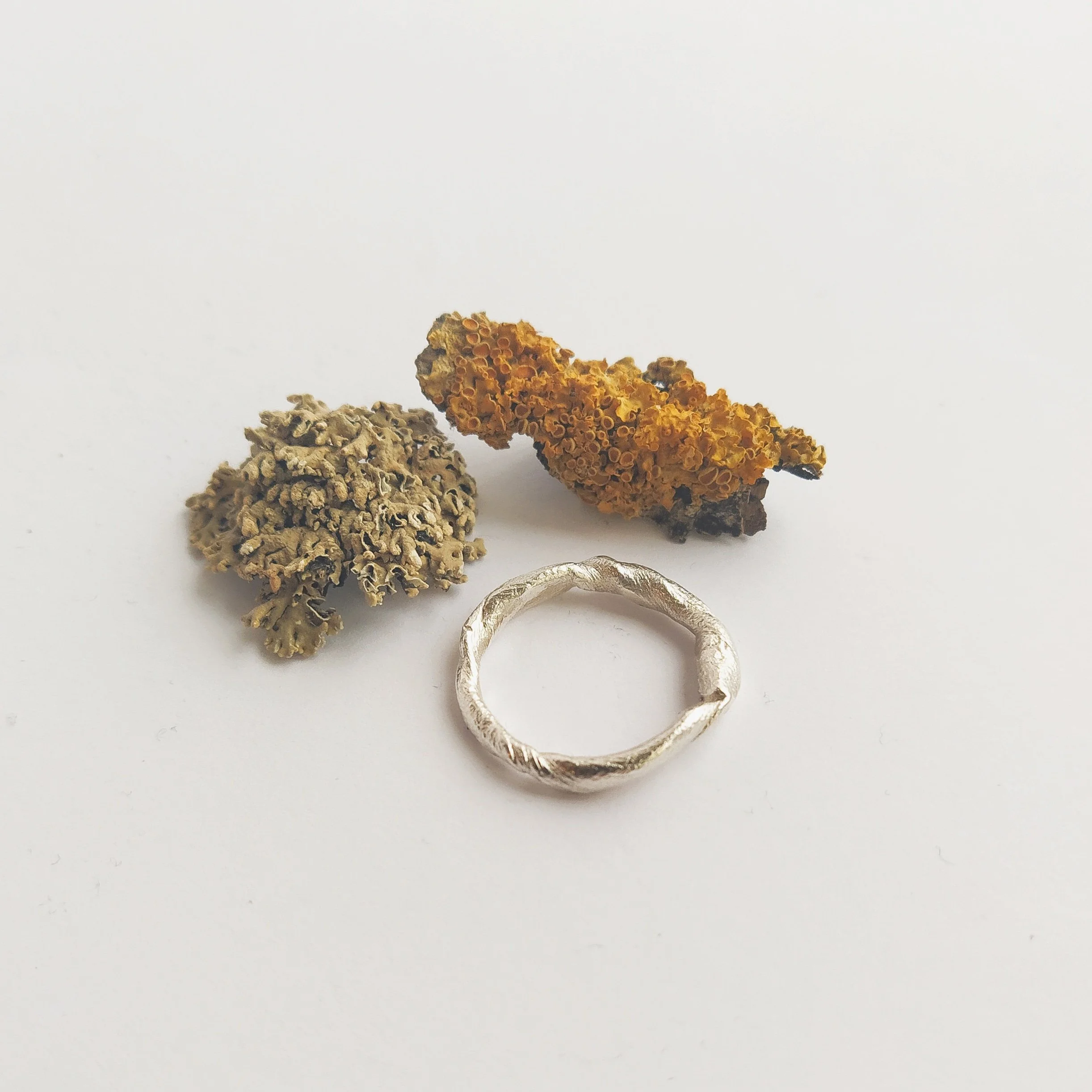 Three pieces of textured, colorful material resembling lichen or coral, and a silver organic shaped ring, all set on a white background.