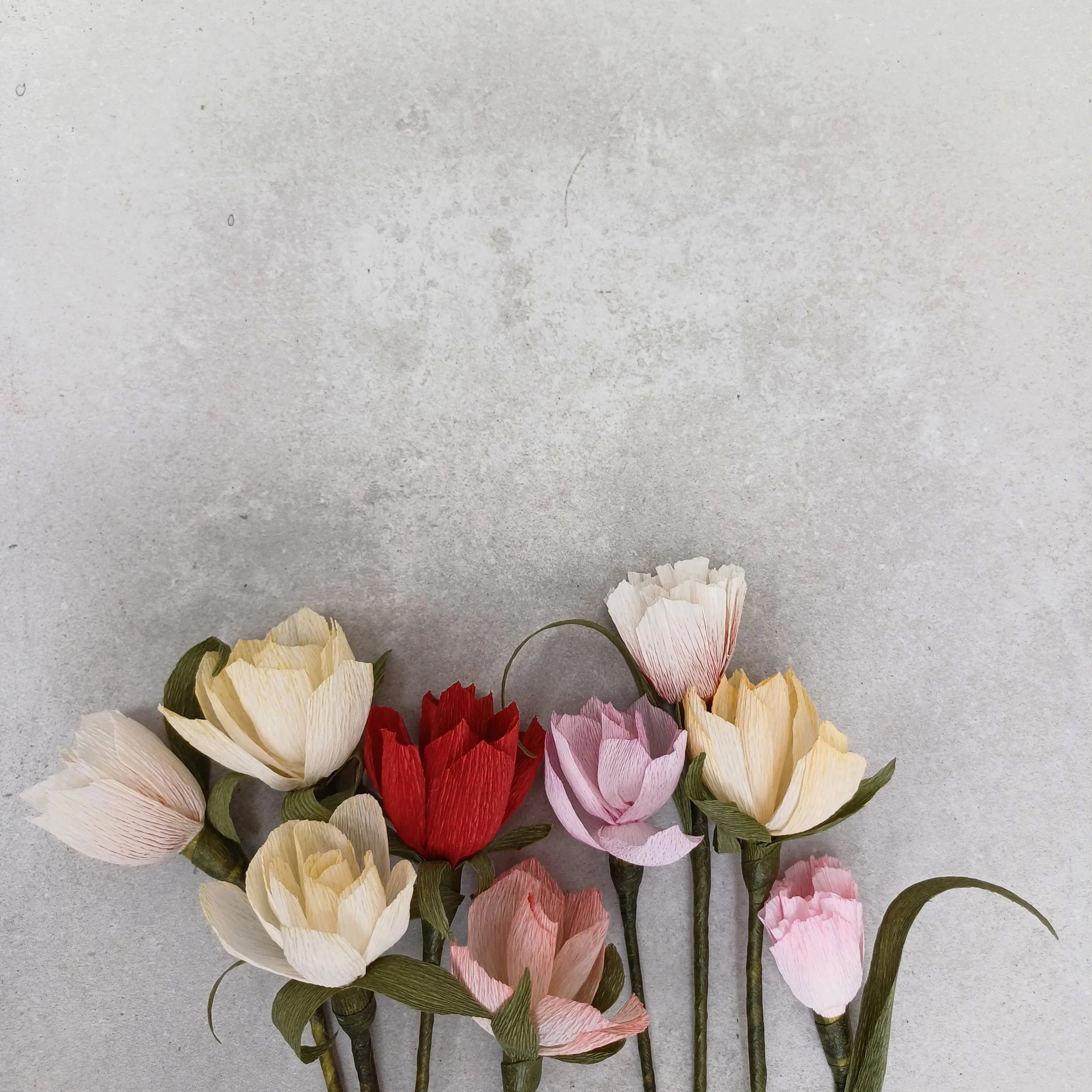 Introduction to Paper Flower Making workshops