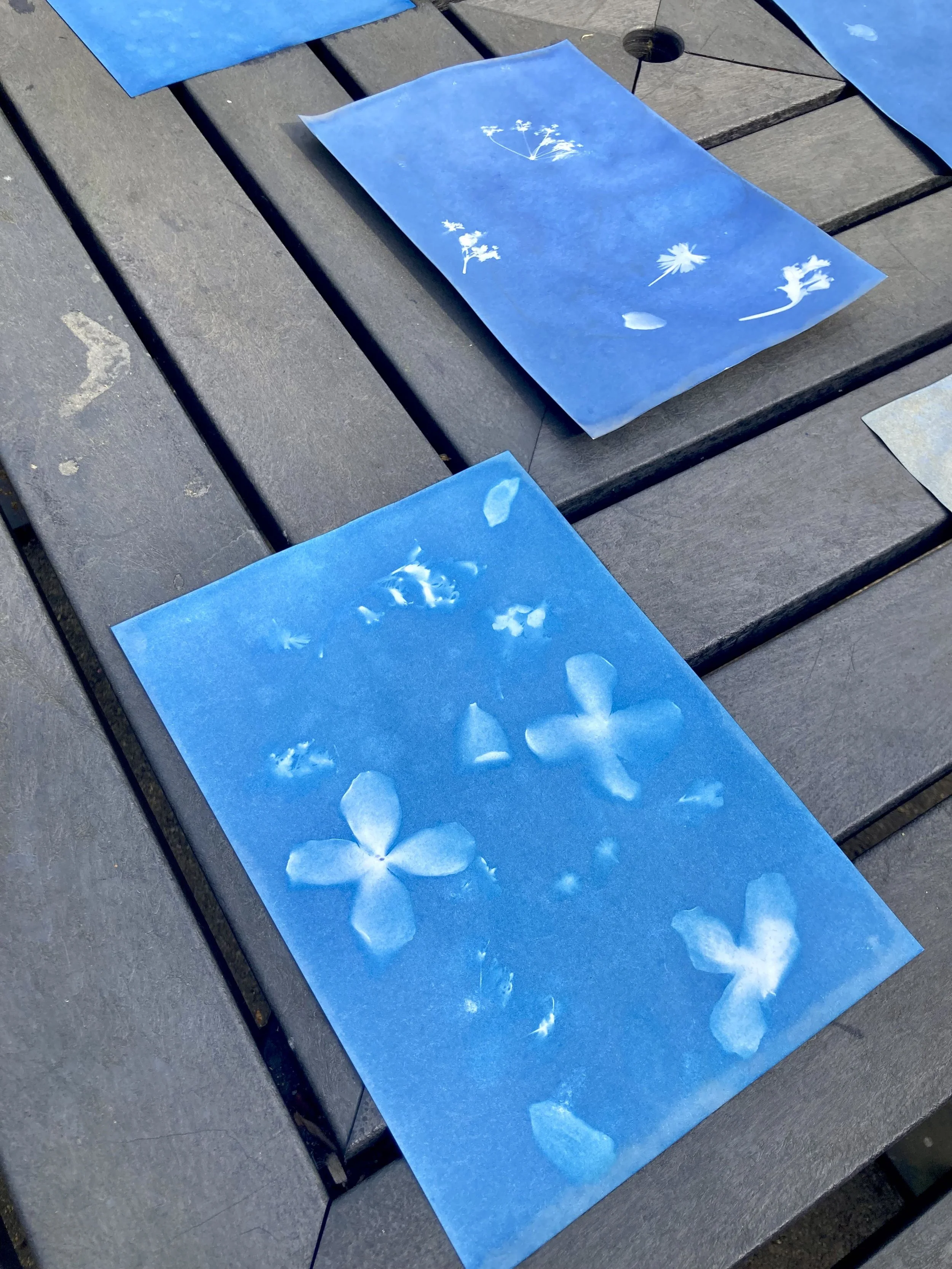 Copy of 6Workshop Images.jpeg
