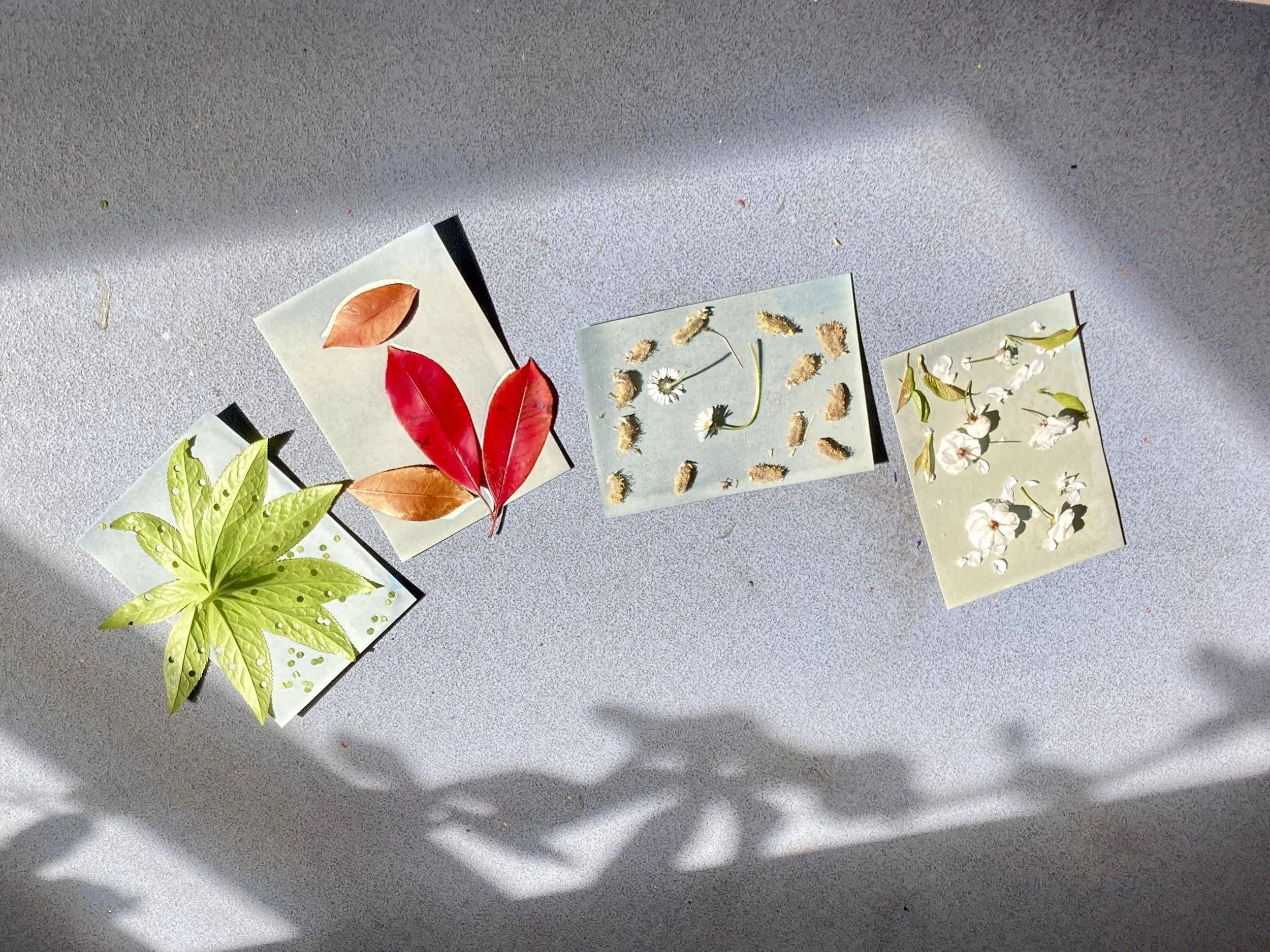 Copy of 4Workshop Images.jpeg