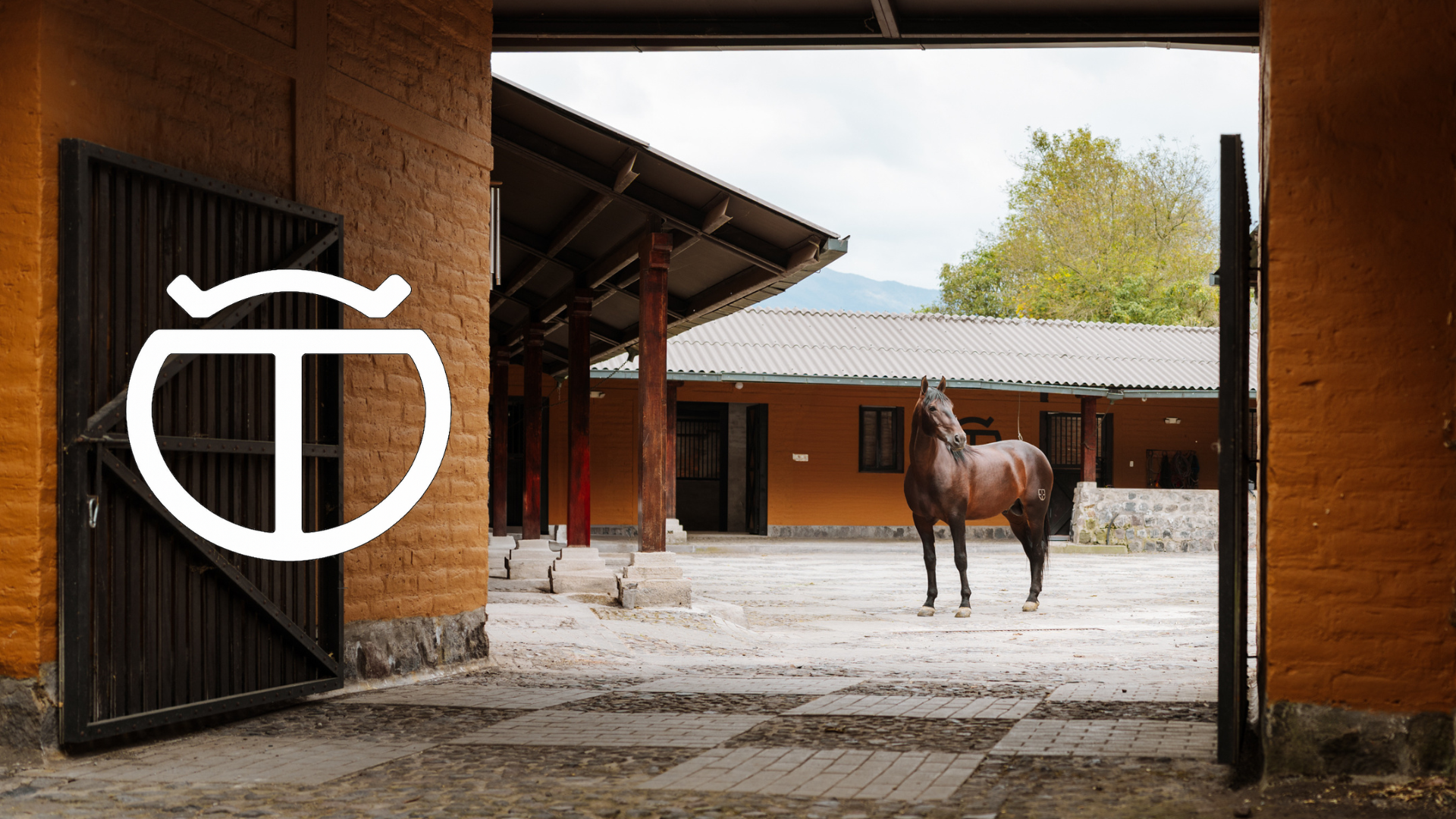 Criadero TM | Spanish Horses in the Andes