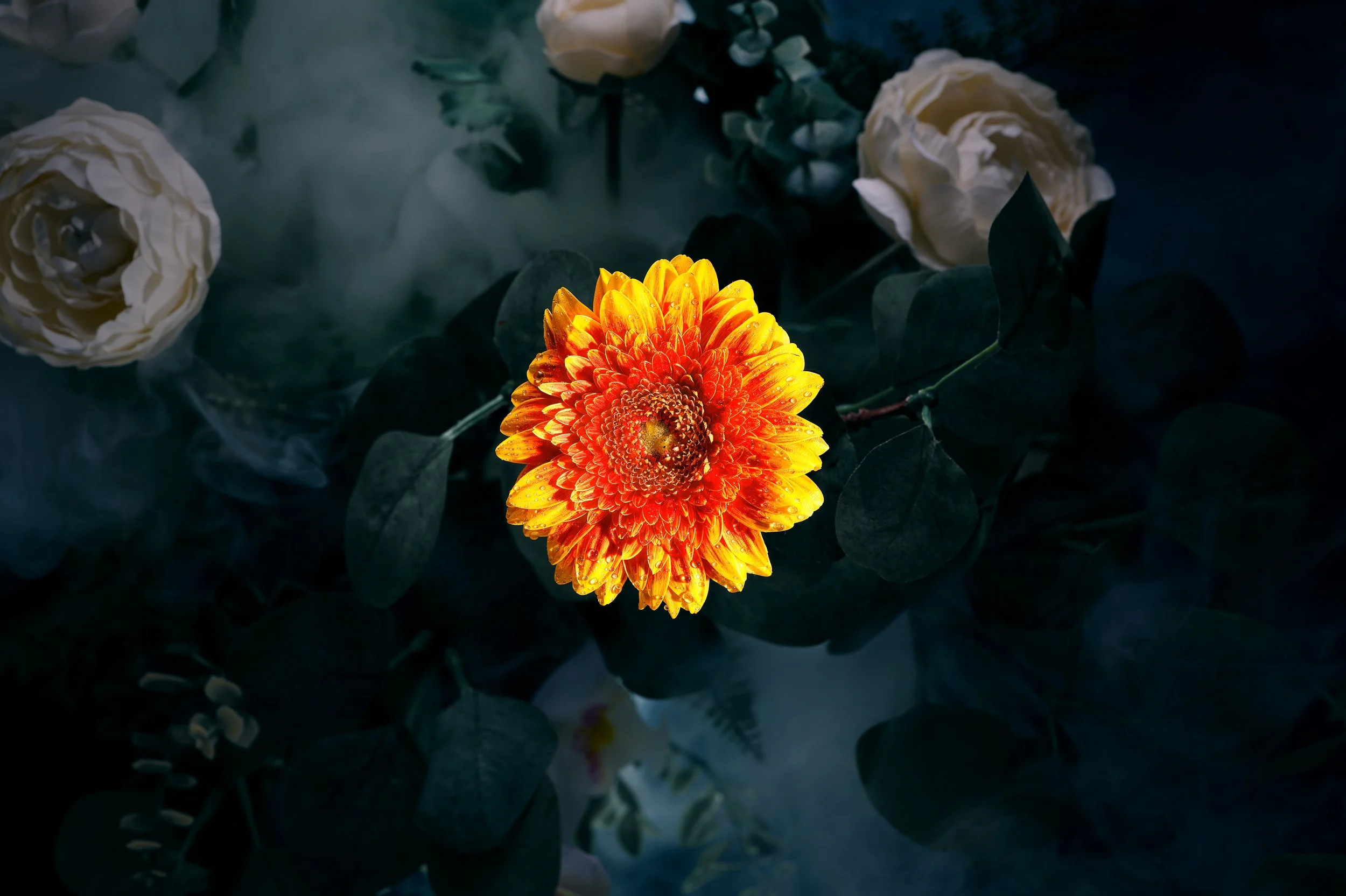 Flor naranja que destaca entre plantas oscuras