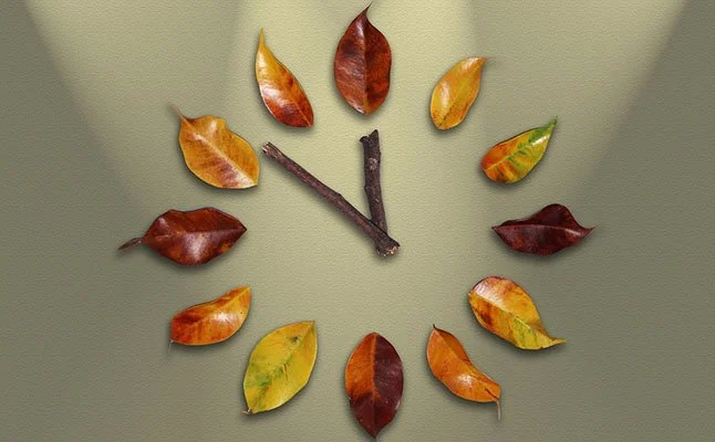 Mejorar la Gestión del Tiempo en la Organización 1/2