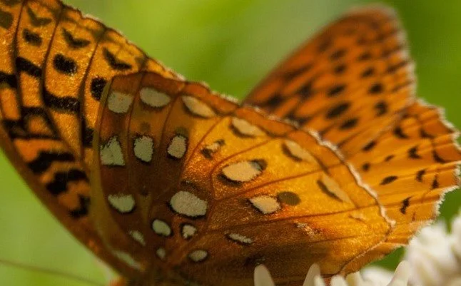 El Proceso de Cambio Personal