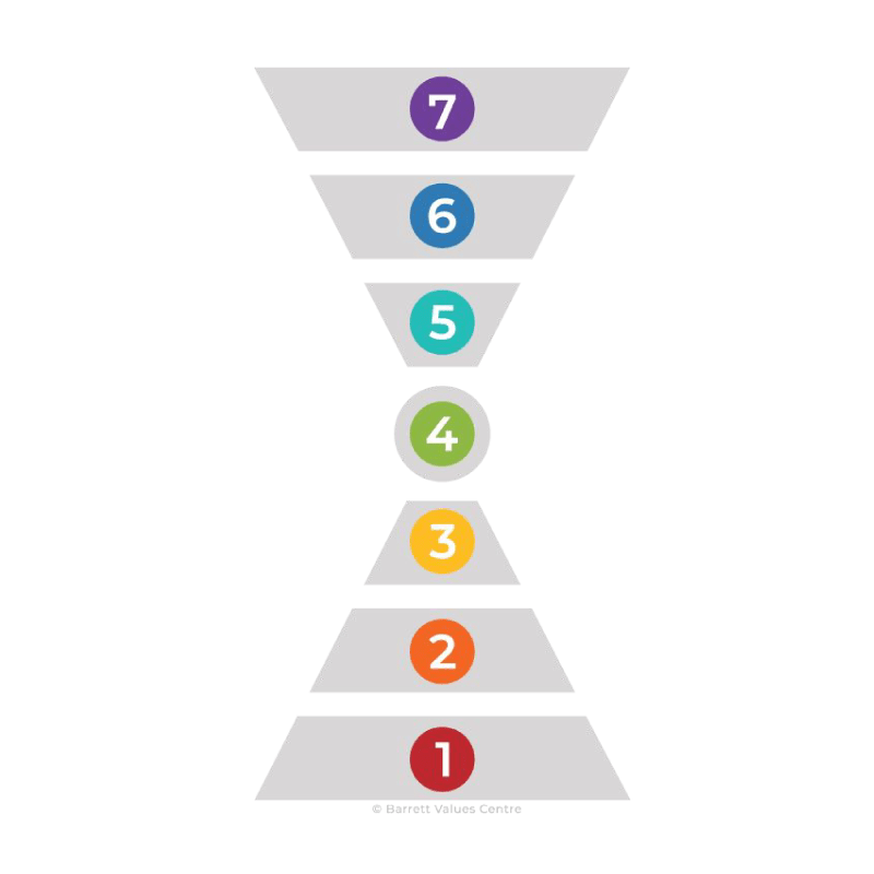 7 Niveles de Barret Values
