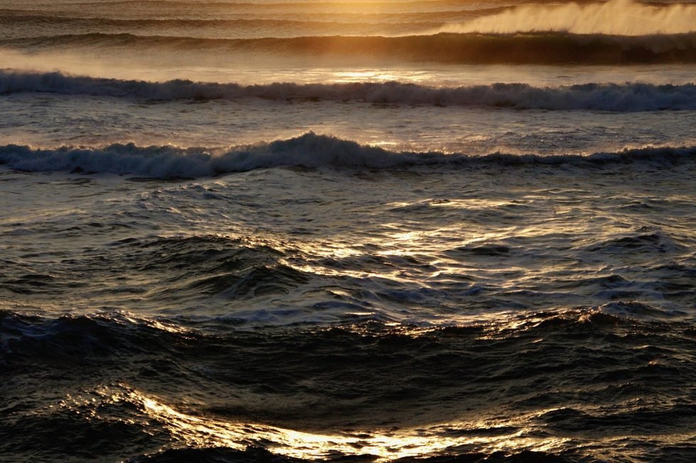 Reconecta con tu Liderazgo Auténtico