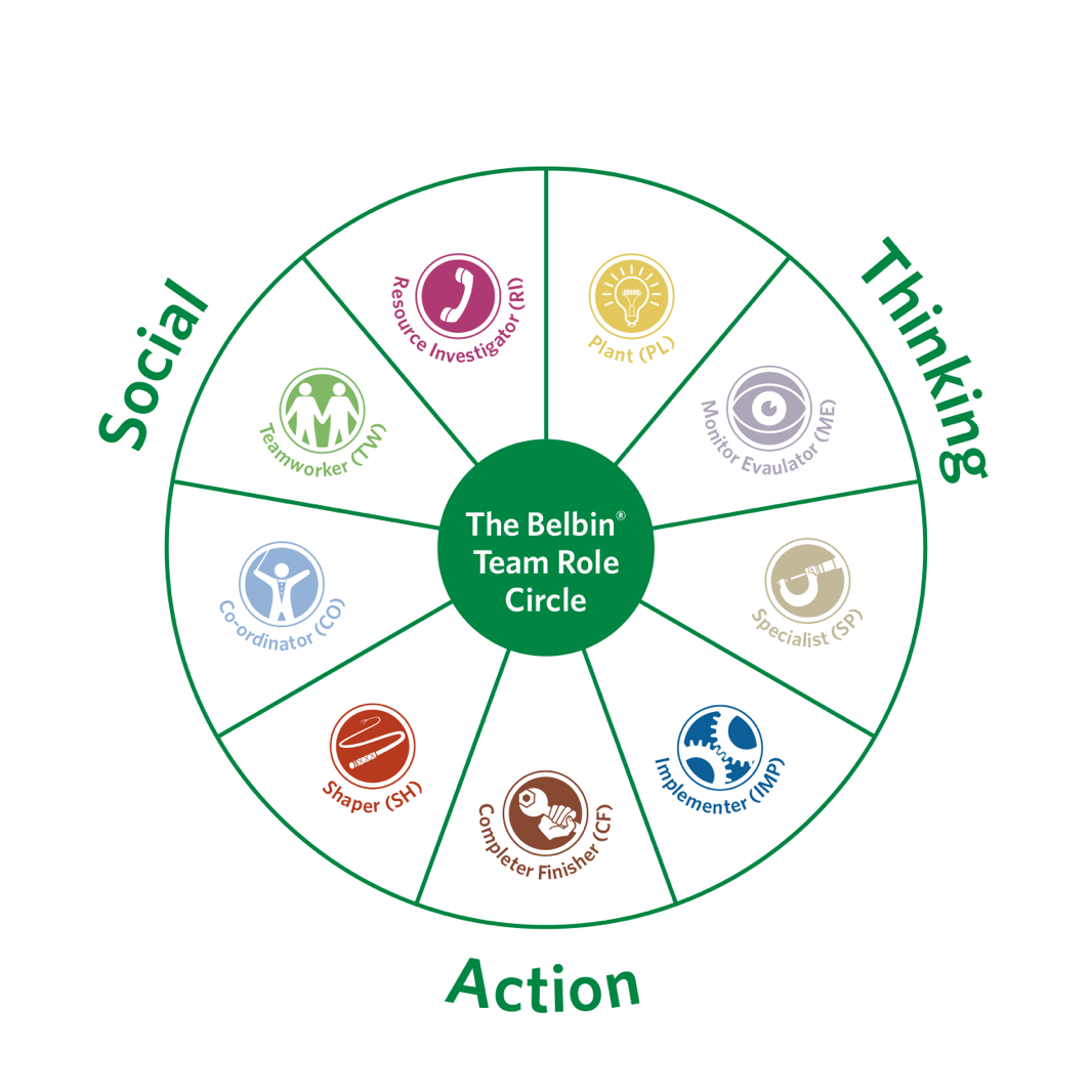 Belbin wheel