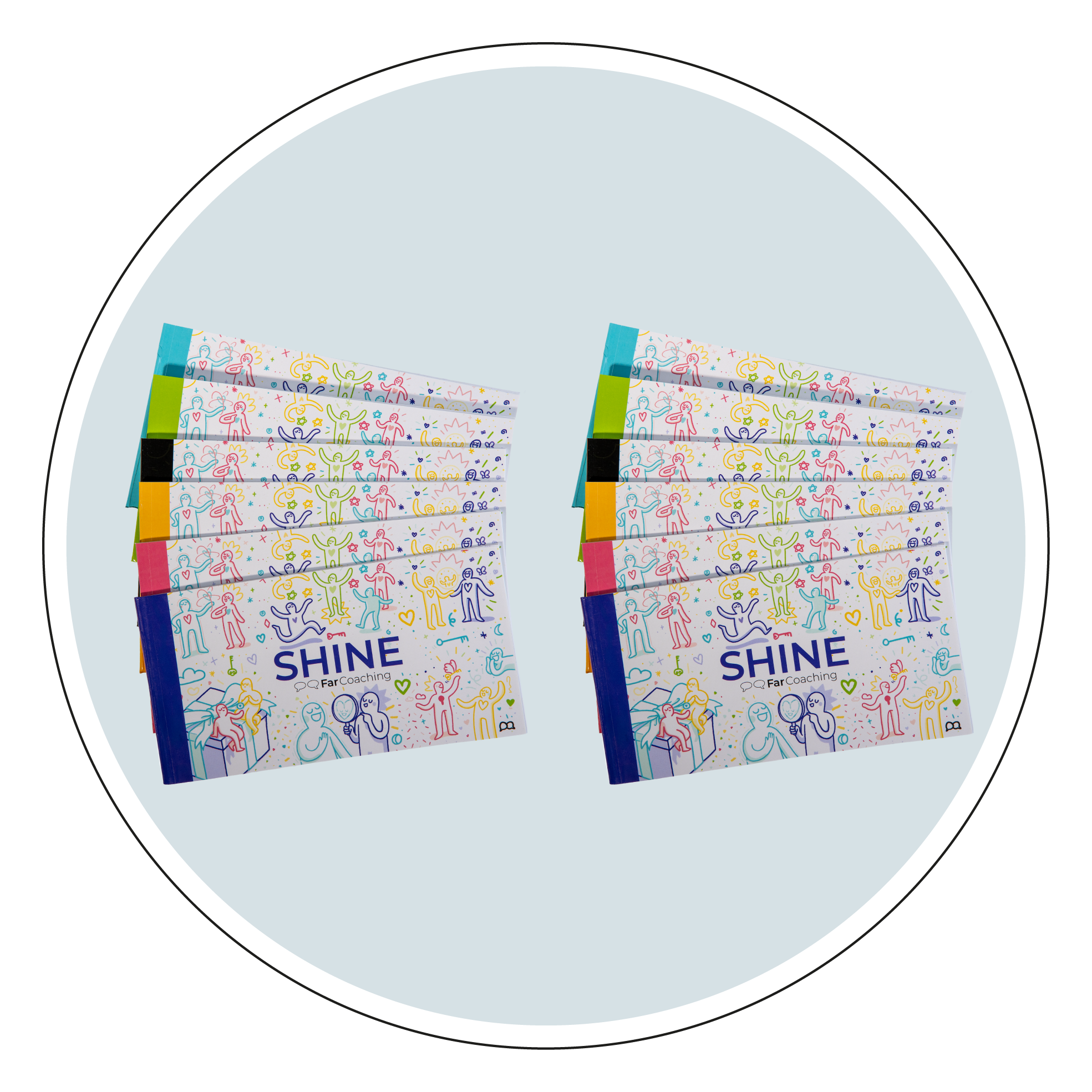 Shine-12 pack.png
