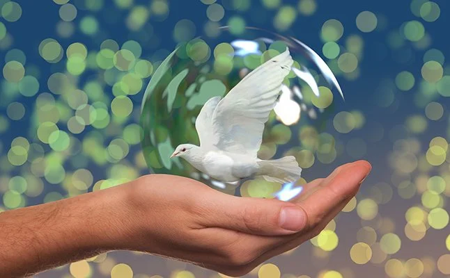 El Líder Complaciente