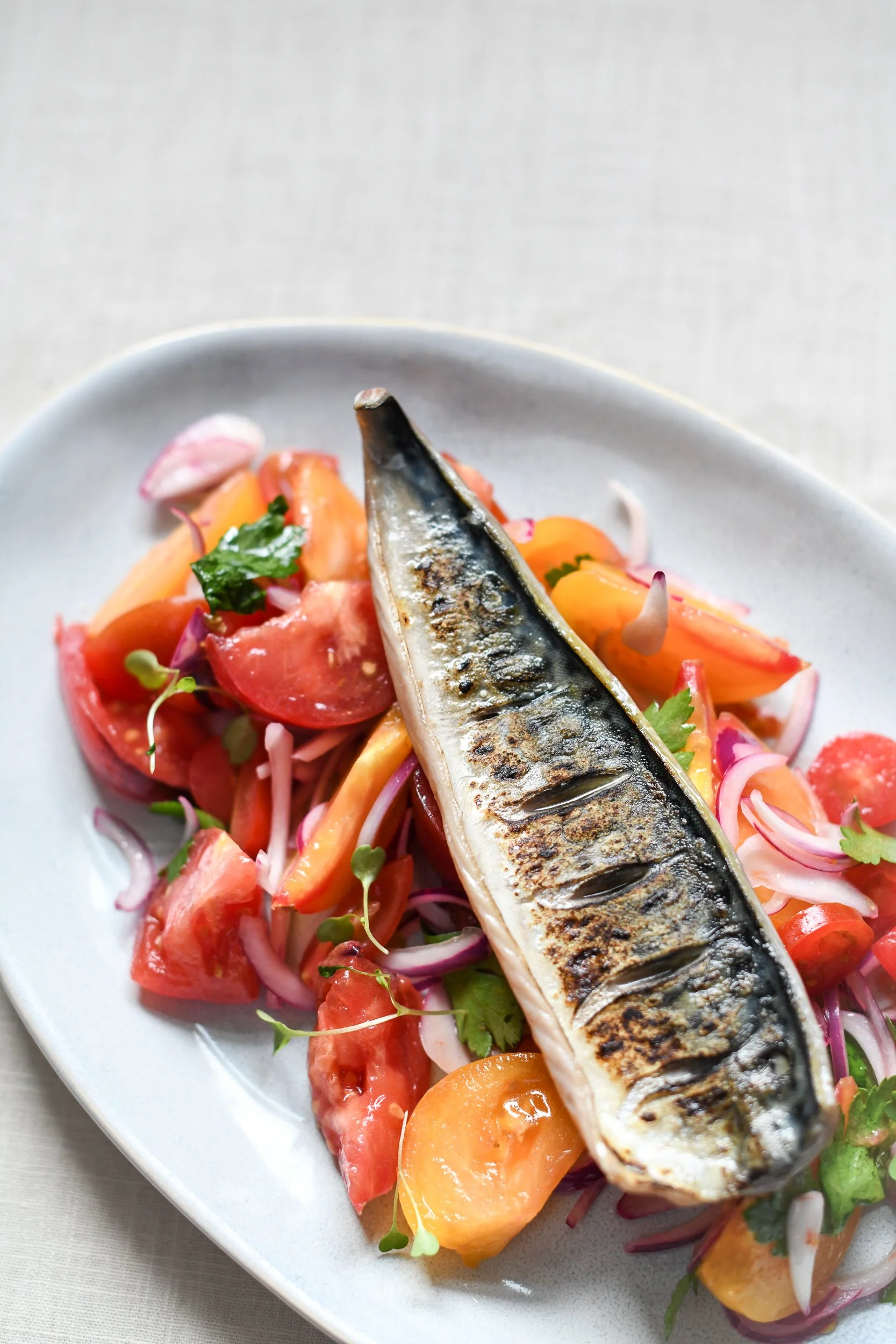 A grilled mackerel fillet served on a bed of mixed fresh tomatoes, red onions, cilantro, and microgreens on a white oval plate.