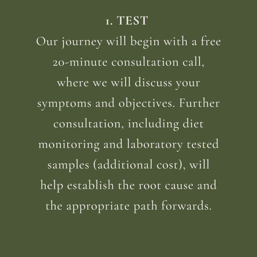 Text on a green background explaining the beginning of a health consultation process, including a free 20-minute call, discussing symptoms and objectives, and optional laboratory testing.