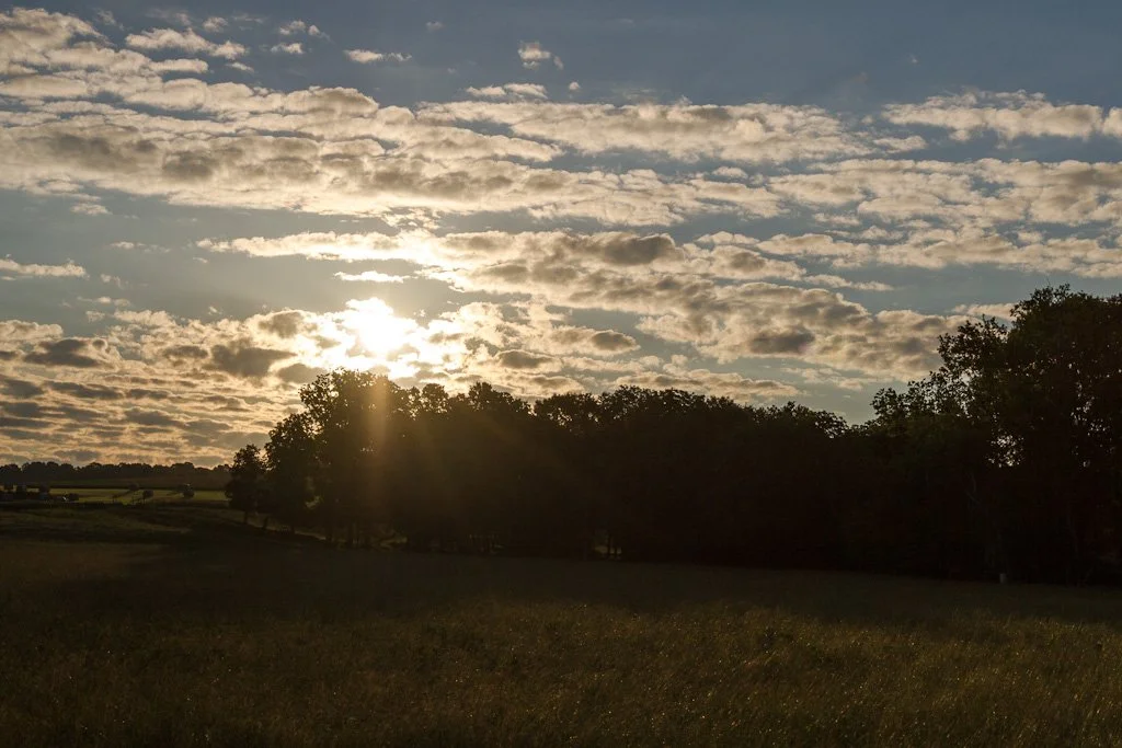 buric-sunrise-166-366_7188114543_o.jpg