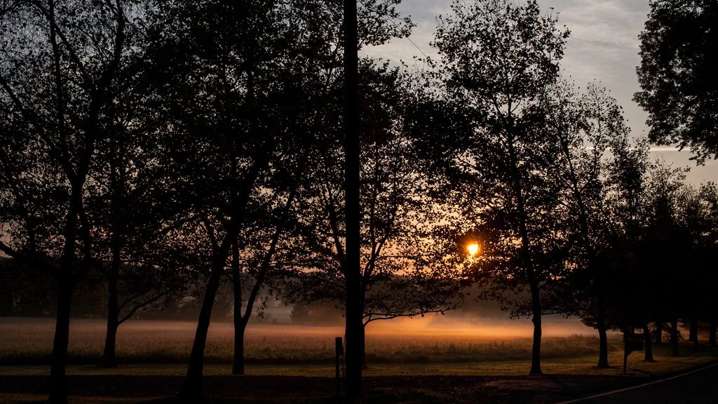 morning-mist-280-366_8062410527_o.jpg