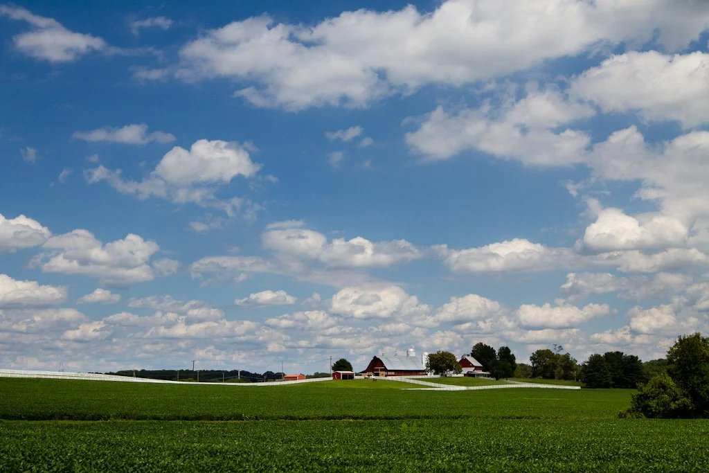 red-barn-farm-231-366_7810243336_o.jpg