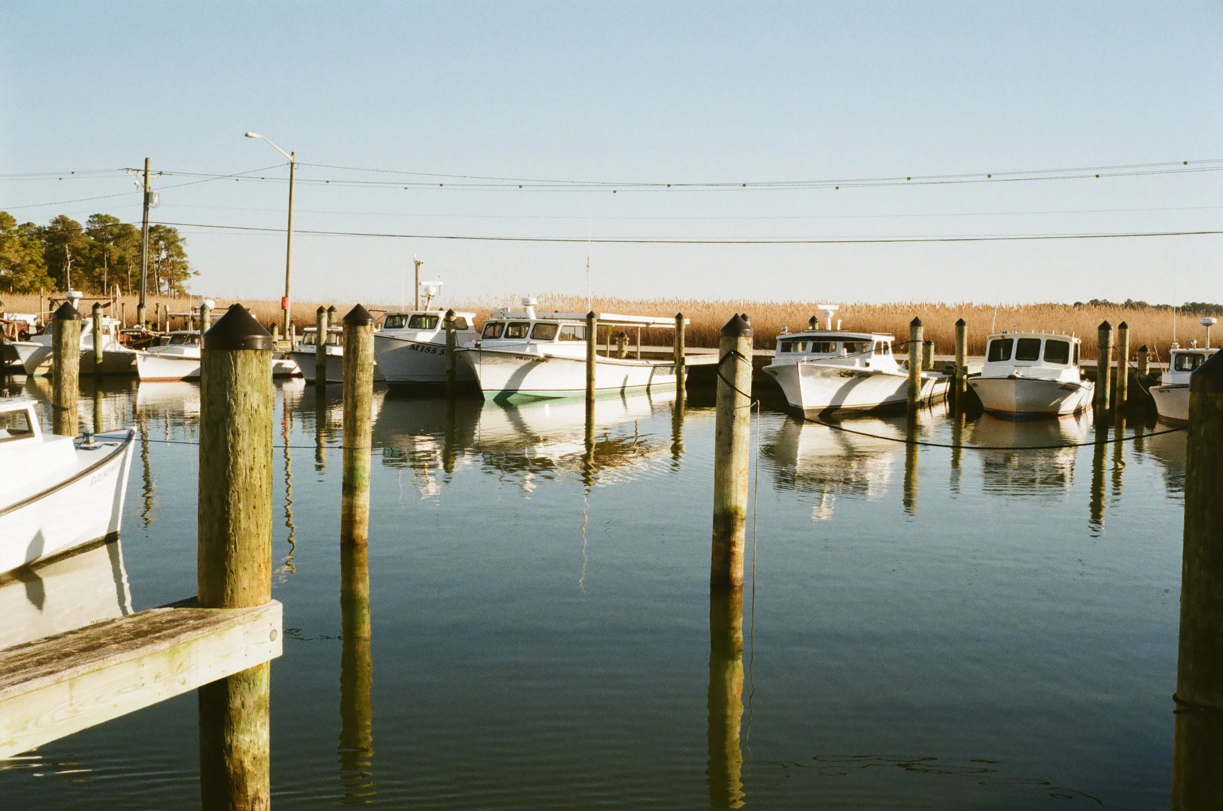 MDA-20260406-0010-7.jpg