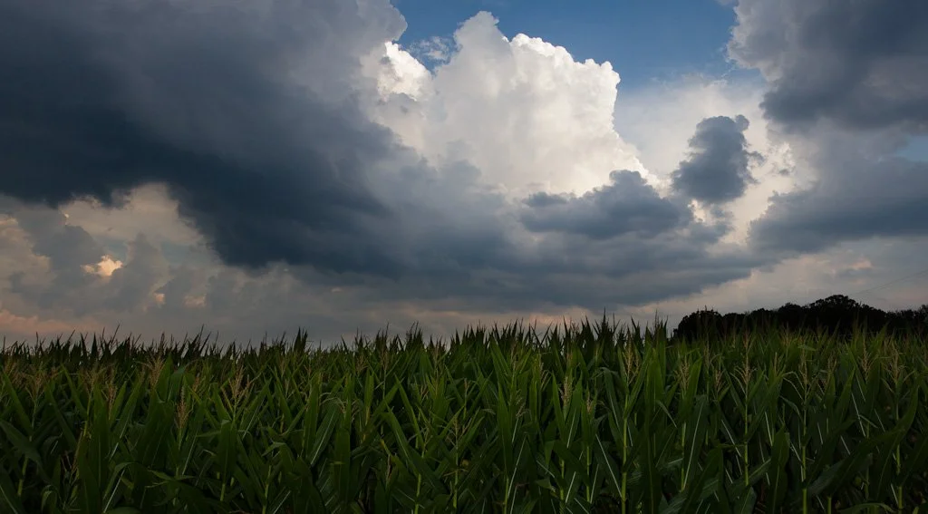 summer-storms-222-366_7749771344_o.jpg