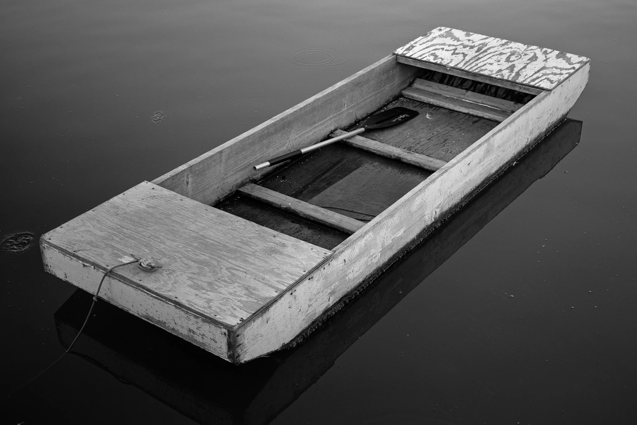B0000487.jpg