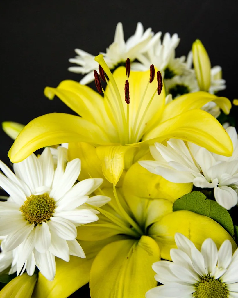 emmas-flowers-163-366_7363642398_o.jpg