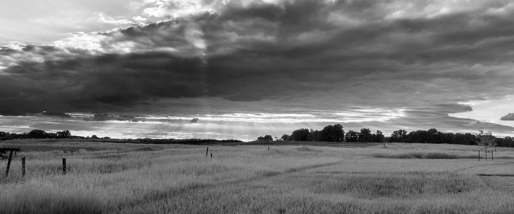 ir-pano-225-366_7769932032_o.jpg