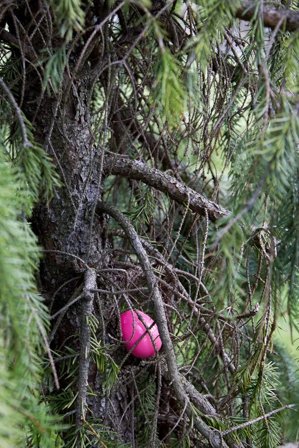 easter-eggs-099-366_7058567283_o.jpg