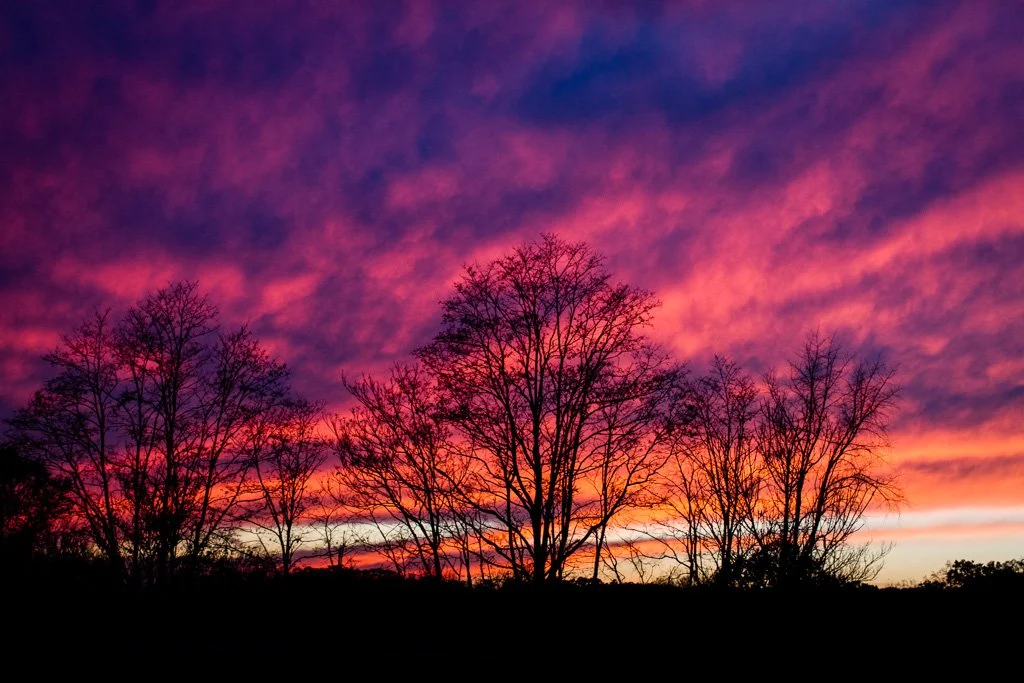 kaiser-sunset-311-366_8162632190_o.jpg