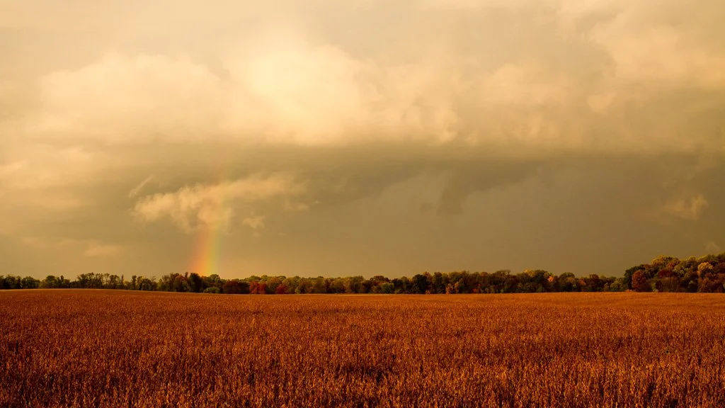 rainbow-friday-293-366_8104015004_o.jpg