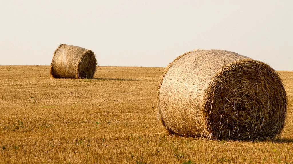 hay-rolls-181-366_7469708442_o.jpg