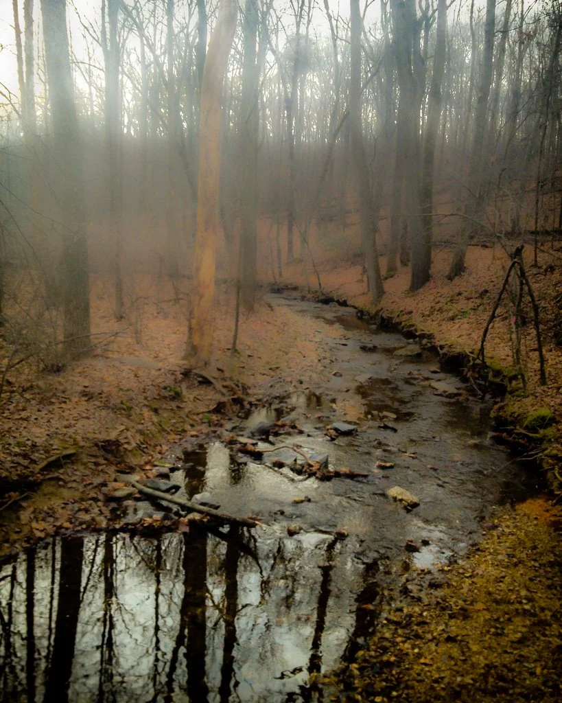 morning-walk-350-366_8275144885_o.jpg