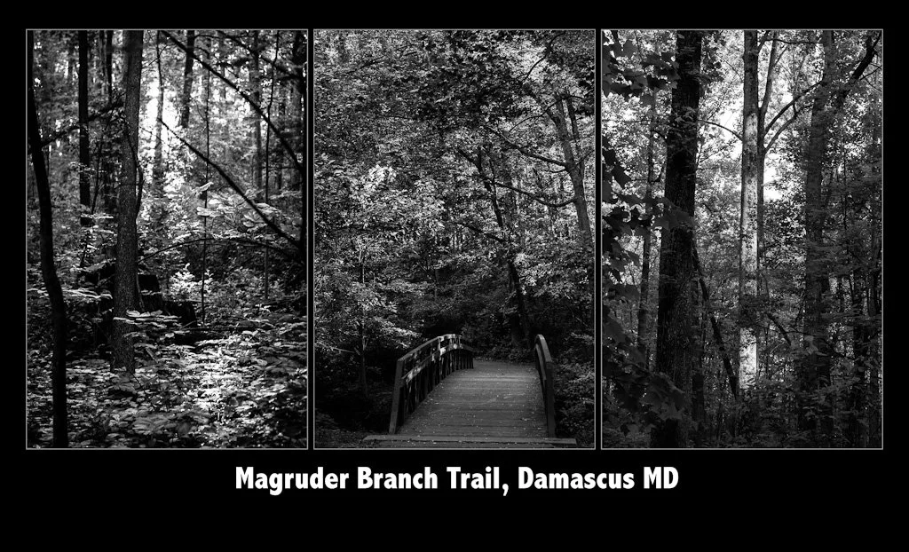 magruder-triptych-141-366_7238064972_o.jpg