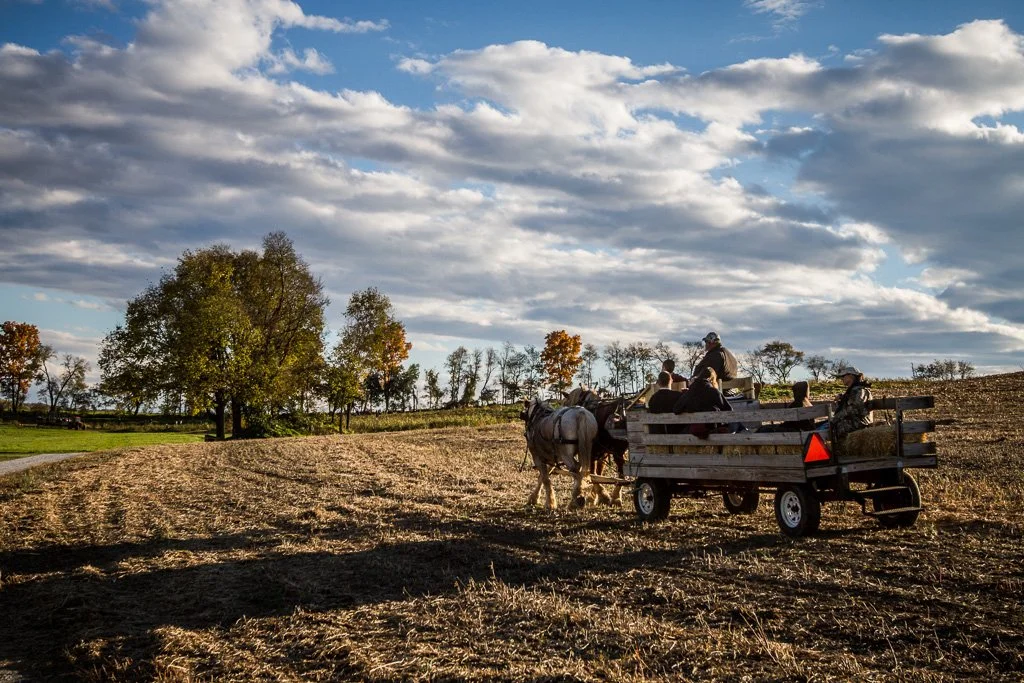 jumbos-farm-294-366_8106969437_o.jpg