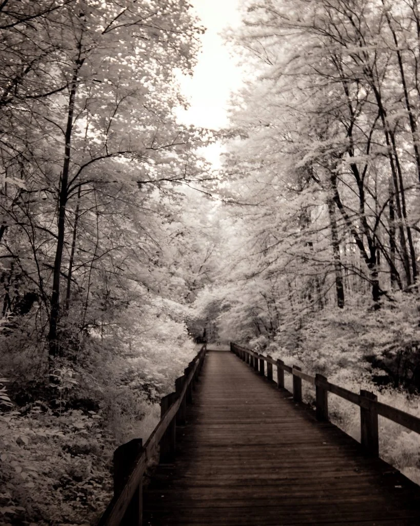 magruder-ir-162-366_7174651173_o.jpg