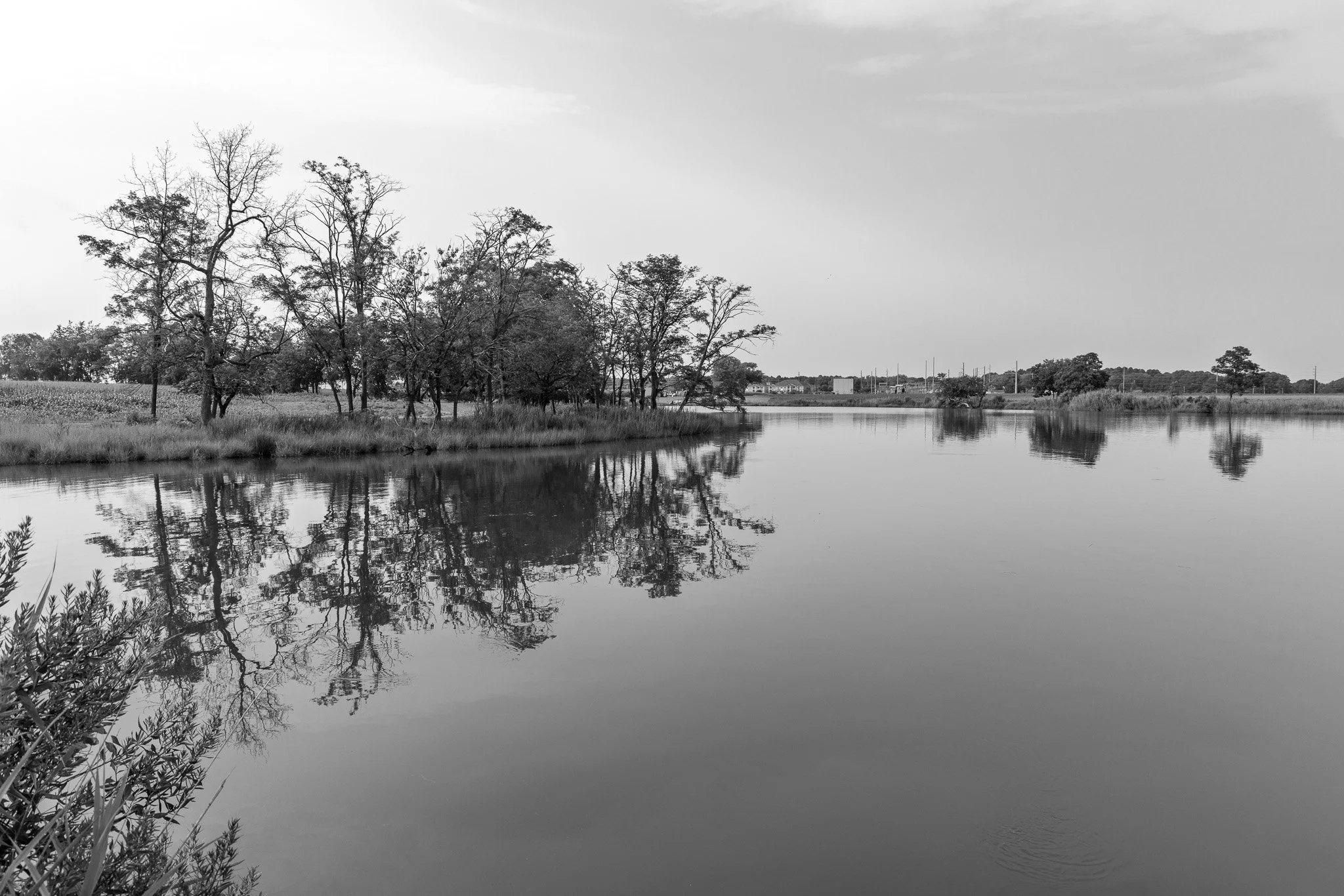 _DA_5362.jpg