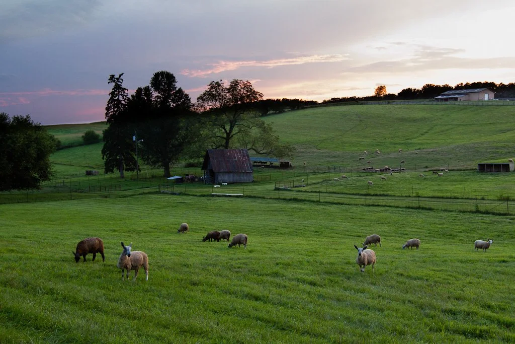 pastural-223-366_7756300300_o.jpg