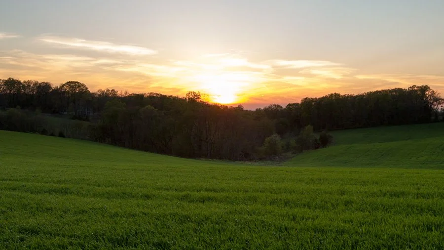 clarksburg-fields-104-366_6929057110_o.jpg