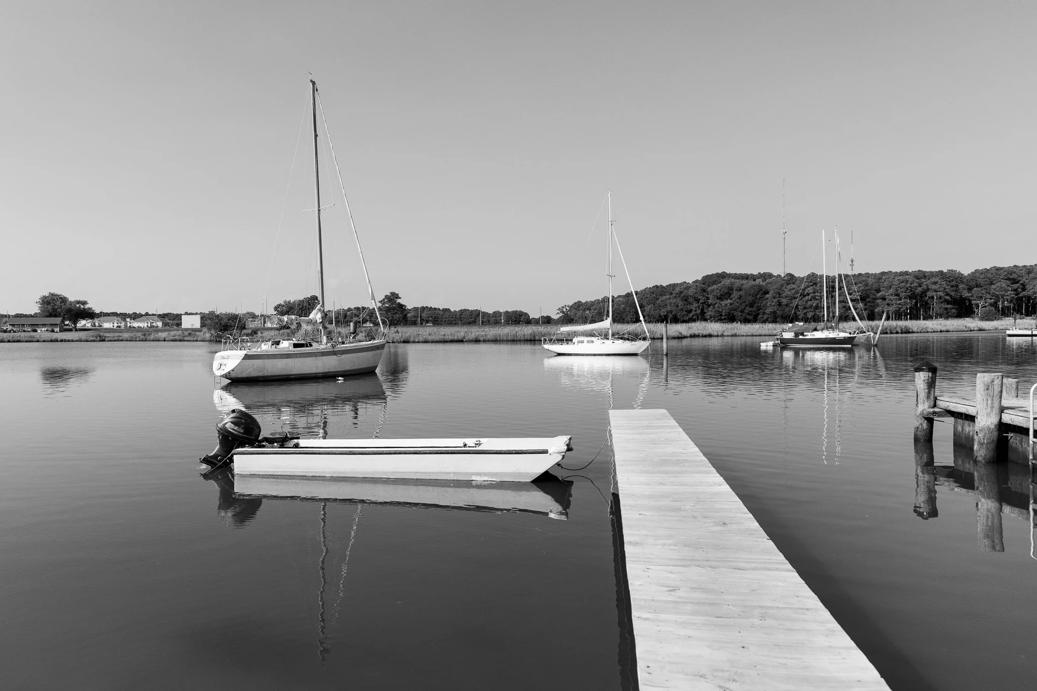 _DA_5581.jpg