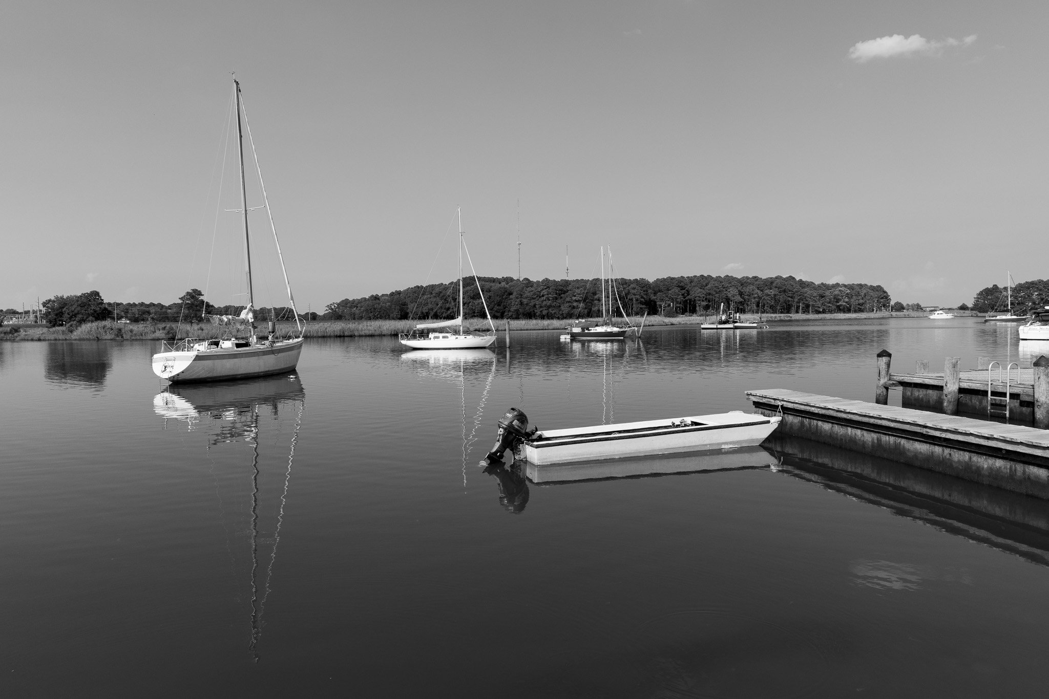 _DA_5591.jpg