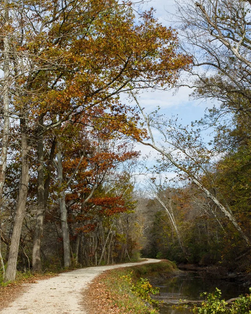 co-canal-309-366_8155370533_o.jpg