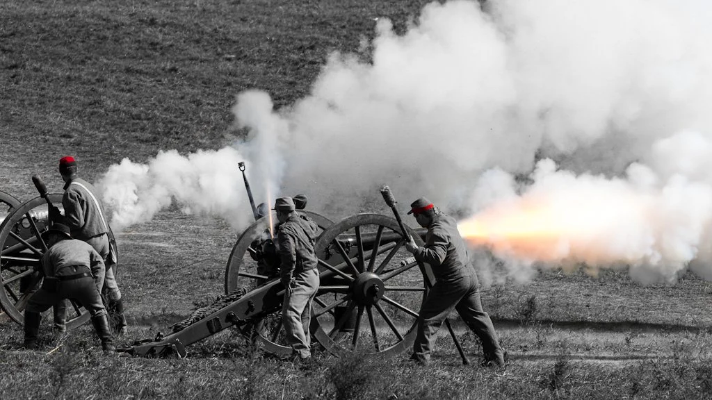 confederate-cannon-259-366_7990345569_o.jpg