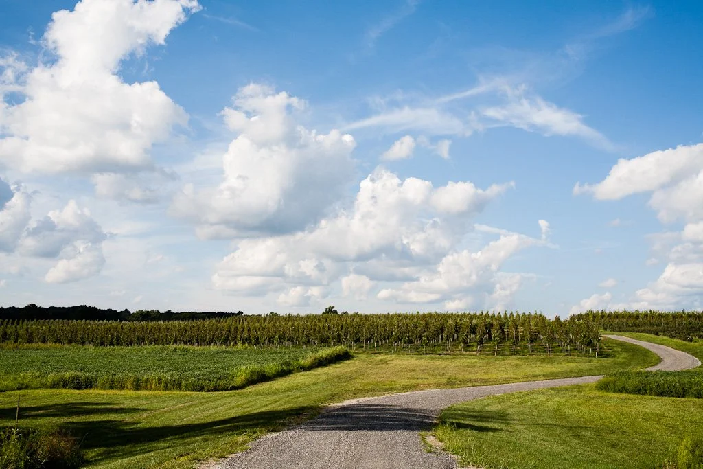 hawkins-creamery-tree-farm-240-366_7876580094_o.jpg