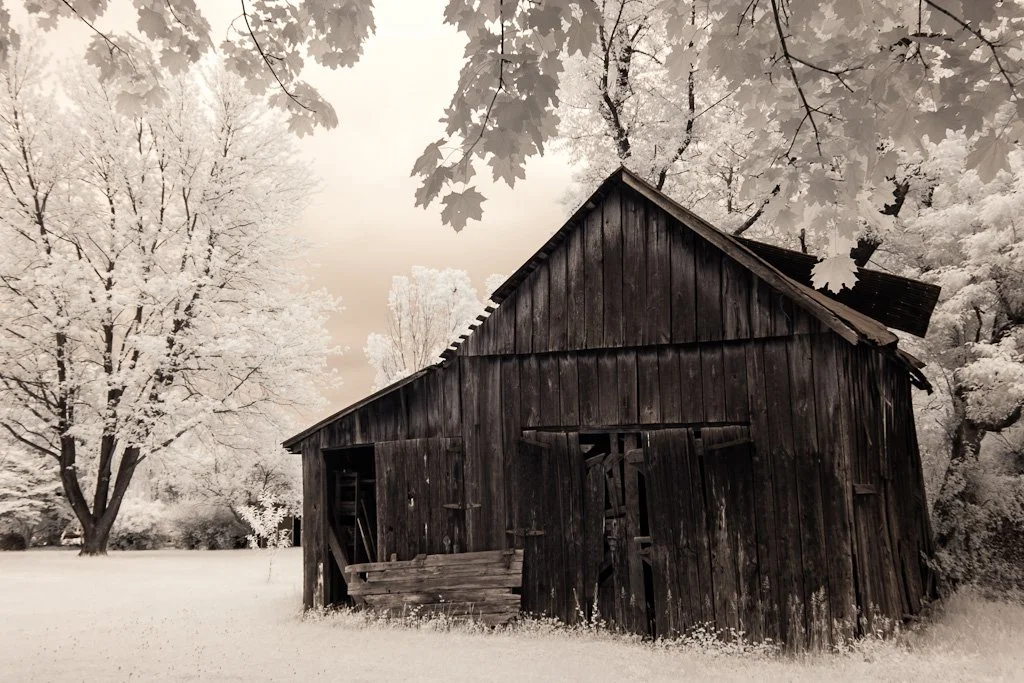 old-shed-127-366_7003851720_o.jpg