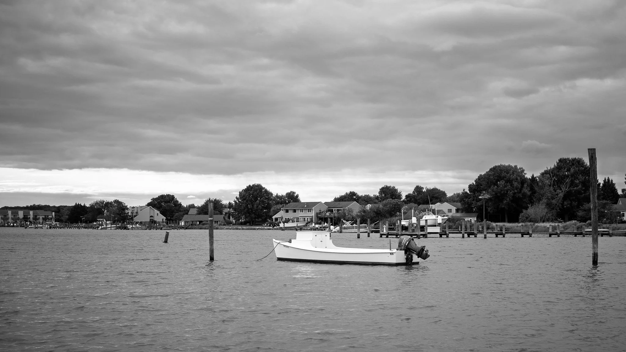 B0000555.jpg